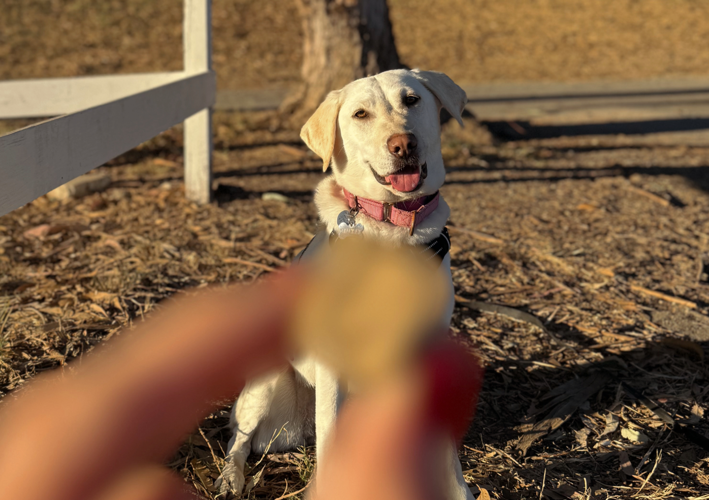 BARKIN