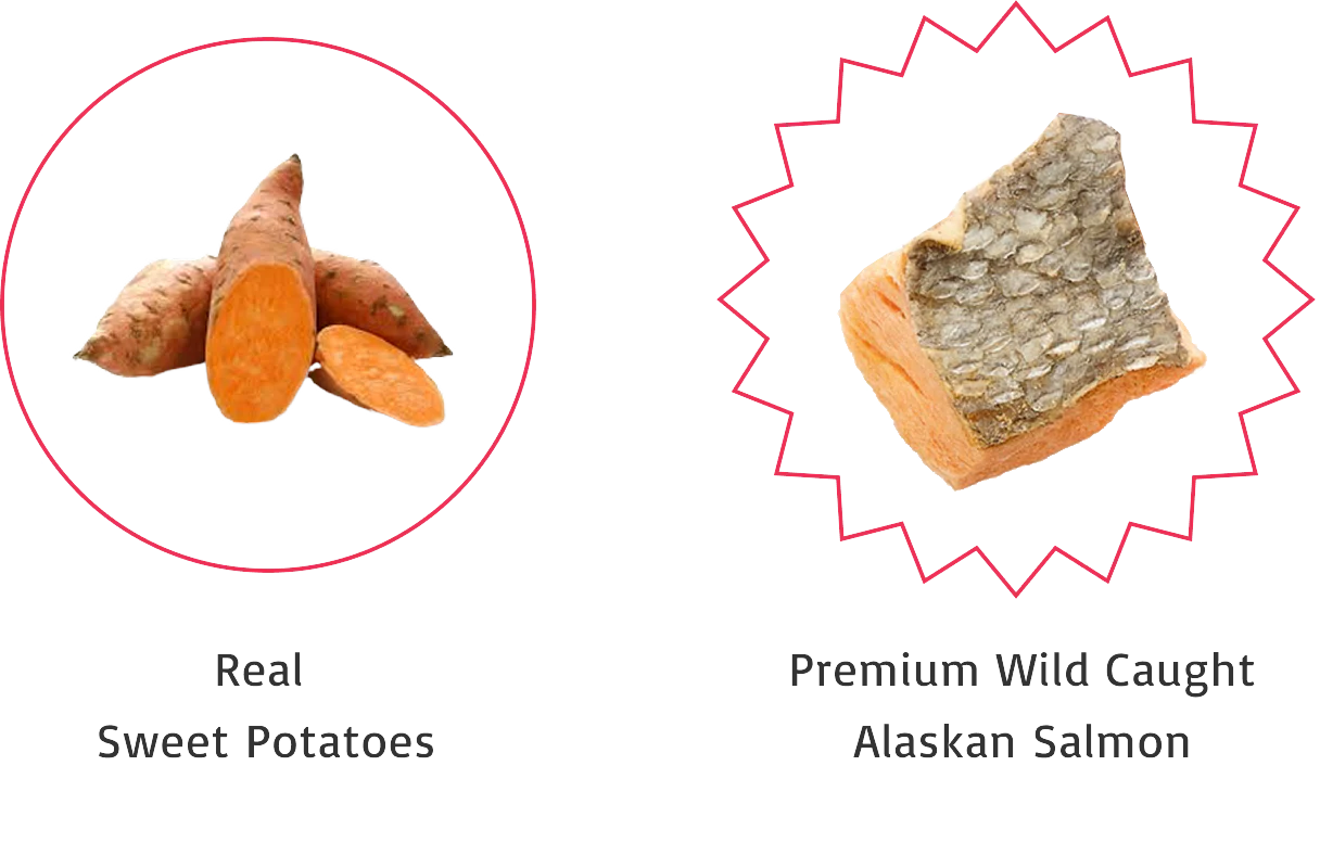 Sweet Potato and Salmon