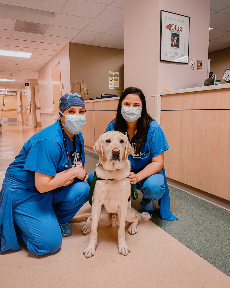 FACILITY DOGS