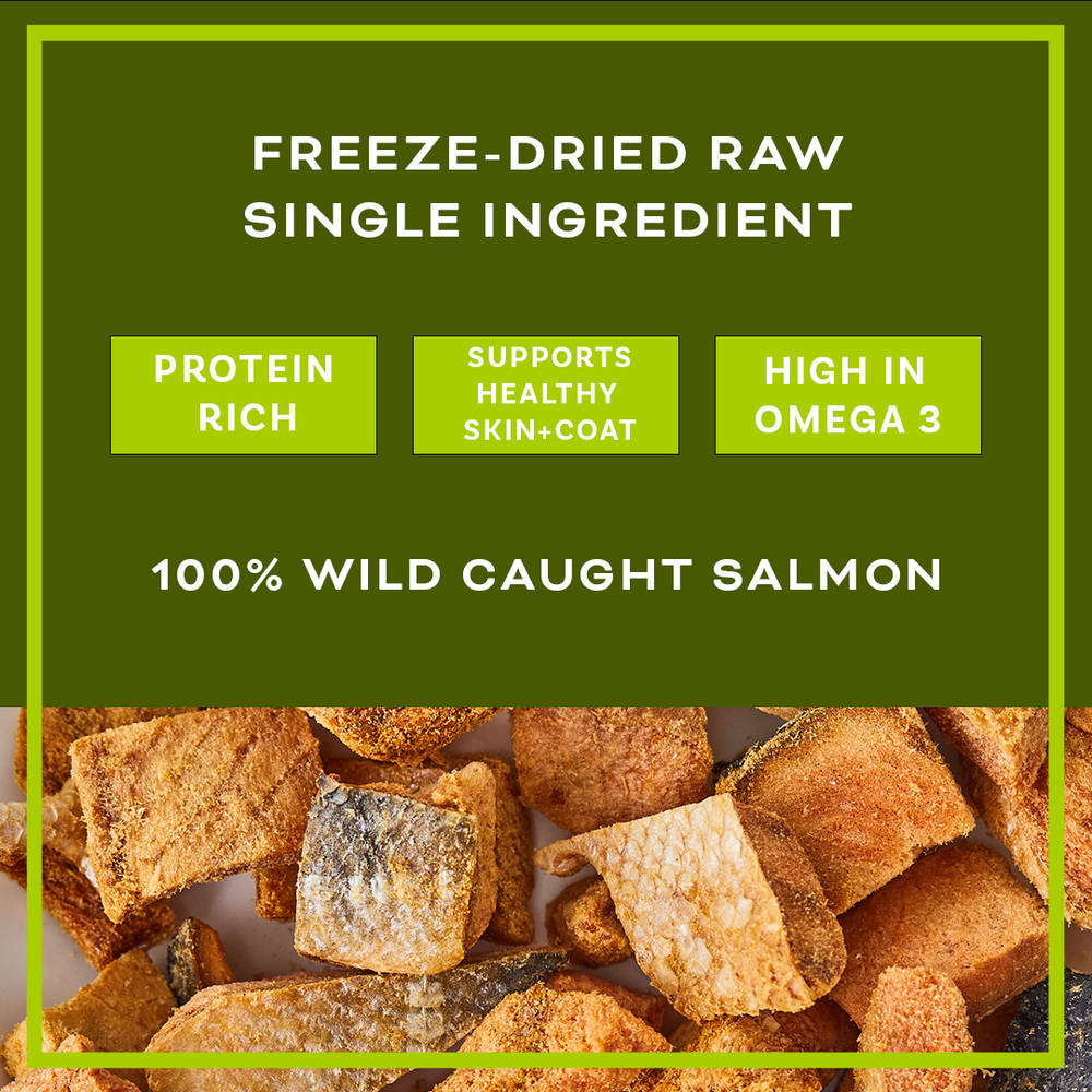 
                  
                    WILD CAUGHT SALMON FREEZE-DRIED TREAT
                  
                